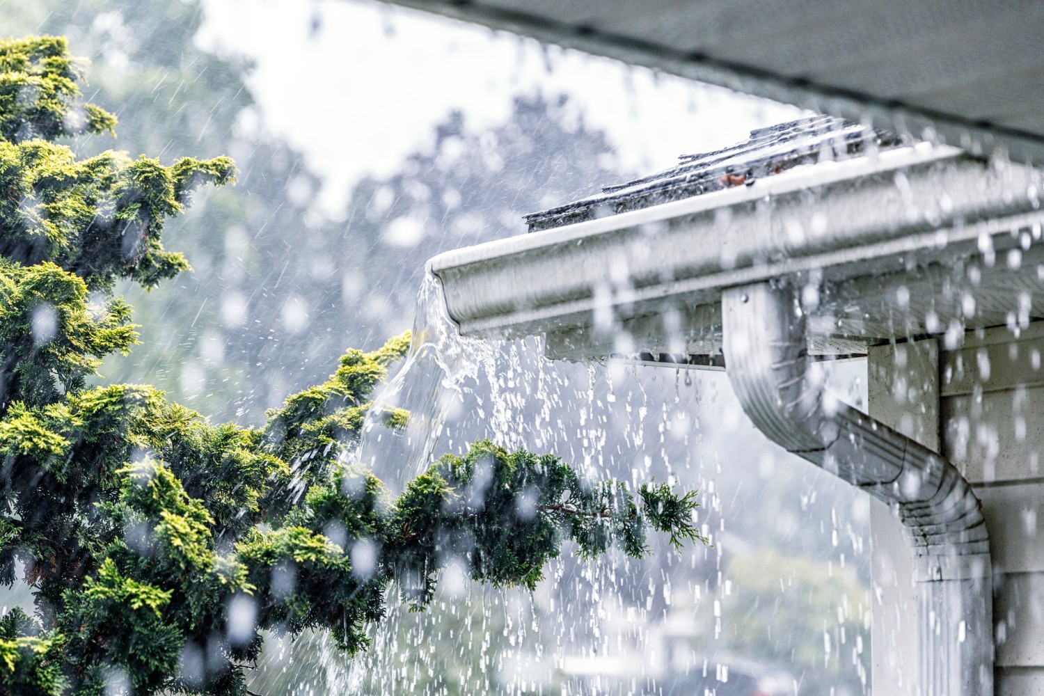 Stay ahead of the storm: how to protect your property from wet weather damage