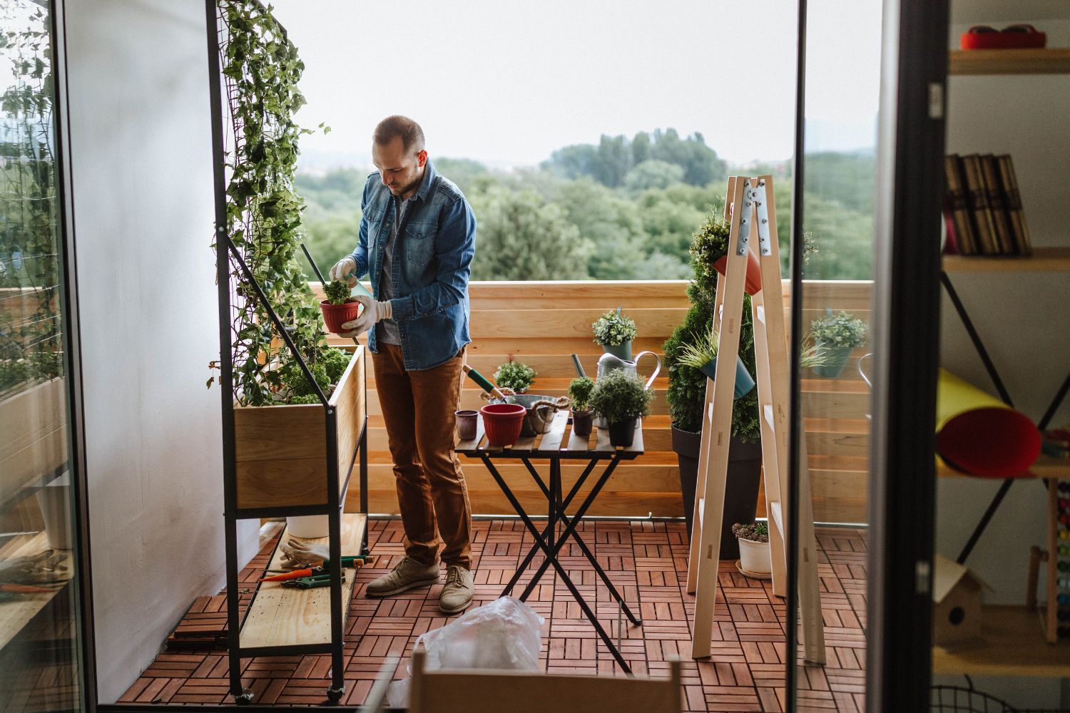 Easy ways to create a green space in your rental home